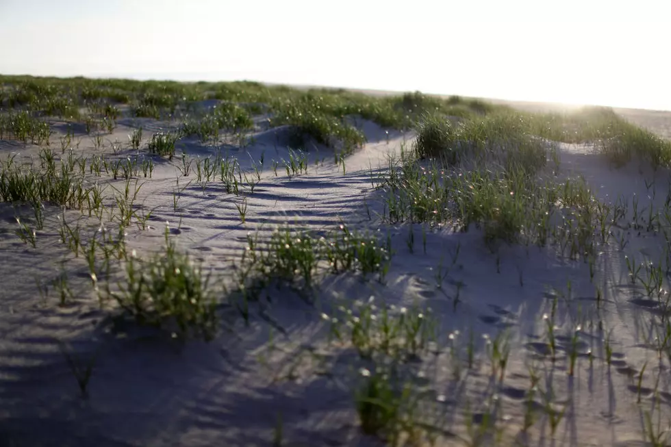 Surprise! Beautiful Massachusetts Getaways That Are Affordable