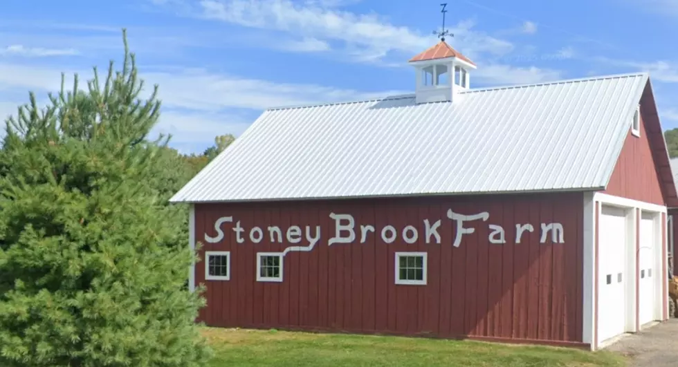 A Structure Fire Has Destroyed A Barn At Stoney Brook Farm In Cheshire